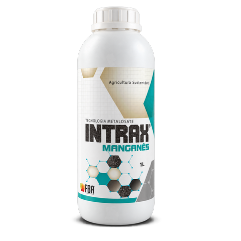Intrax Manganês